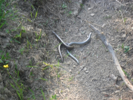 A just ťa nepustím