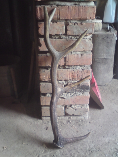 Starší, ale pekný...