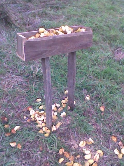 Moje skromné krmítko