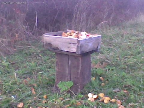 Moje skromné krmítko 2