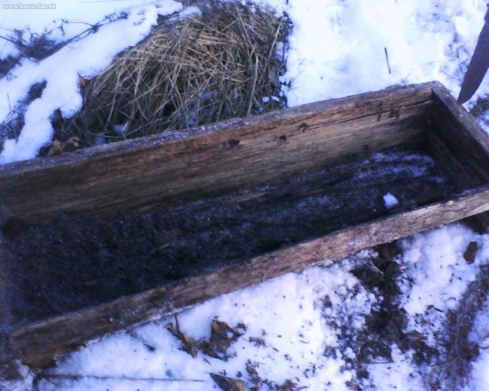 solnik, nasiel som ho zarasteny, vycistil som ho, a asi bude aj zonovu sluzit