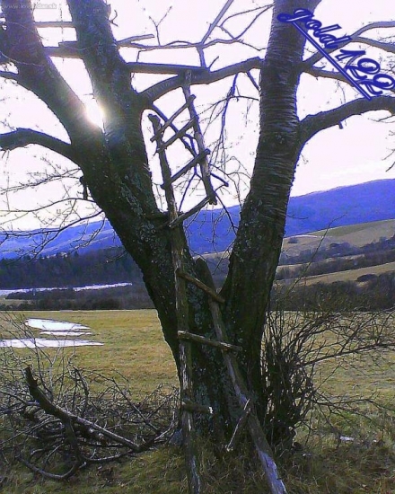 silný vietor vyčíňal