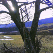 silný vietor vyčíňal