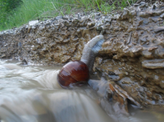 Horolezec (už len kúsoček)