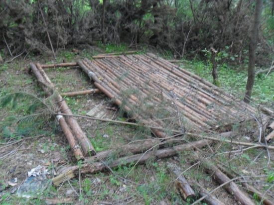 Moja nedokončená koliba