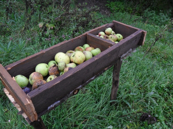 Ďalší krmelec do zbierky