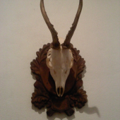 minulorocny