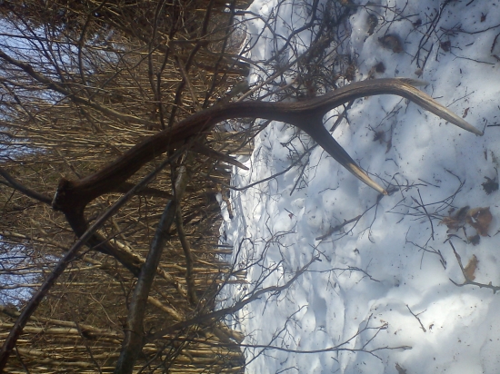 aj tak sa dá nájsť