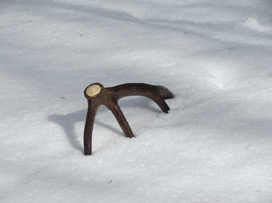 pod slnečnými lúčmi