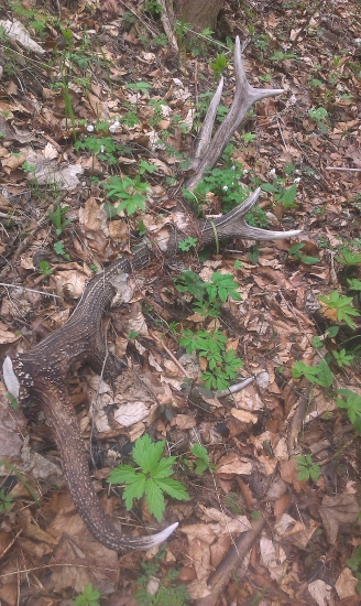 konečne po roku do páru