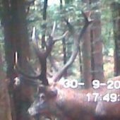 16torak na desat metrov