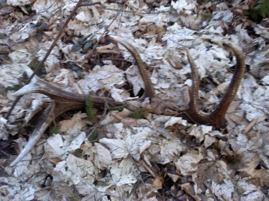 desat metrov od zvaznice...a od vlani