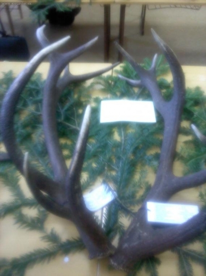 konecne som ich drzal