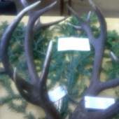 konecne som ich drzal