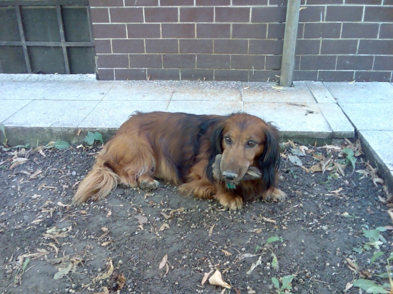 Bruno so suvenírom :)