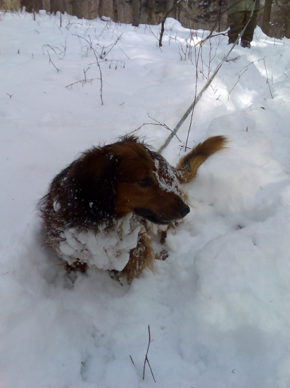 ..brundo.. snehuliak :)