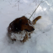 ..brundo.. snehuliak :)