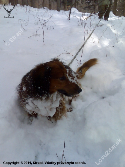 ..brundo.. snehuliak :)