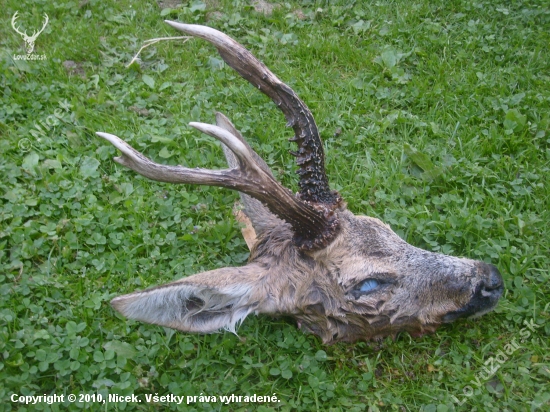 měl skončit jinak ....