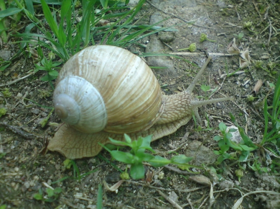 ..pomaly dalej zajdes..