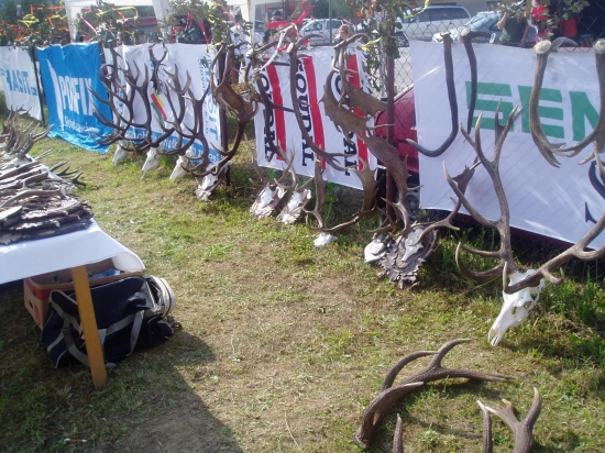 Hobby mojho Michala :)