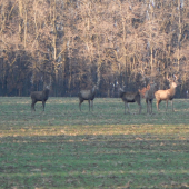 Keď to najmenej čakáš