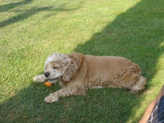 Deny bol zase na mrkvu :))