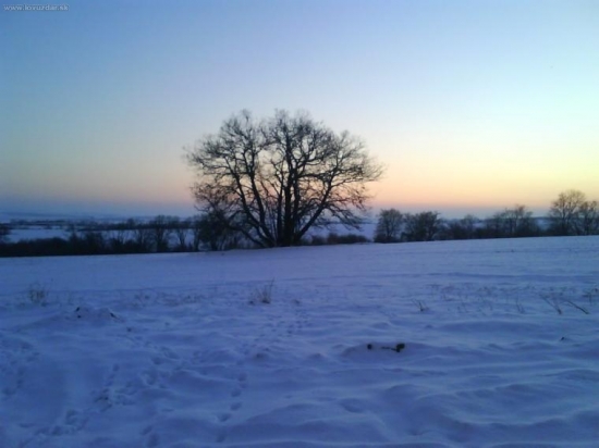 Krása