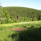 kazatelna