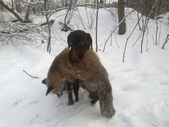 dnes sme trochu zalovili