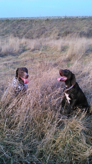 Beta Kamenny most a Brejk Hulsky haj