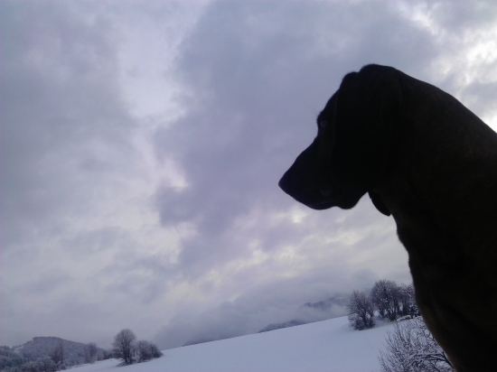 zamyslený farbiarik