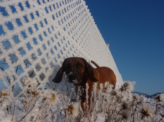 trošku nam primrzlo:))
