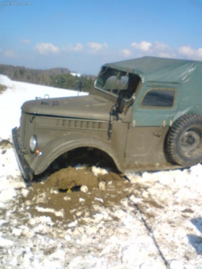 aj takto môže skončiť sčítanie zveri