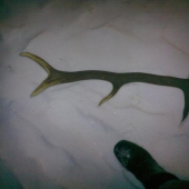 aspon nieco na prechadzke