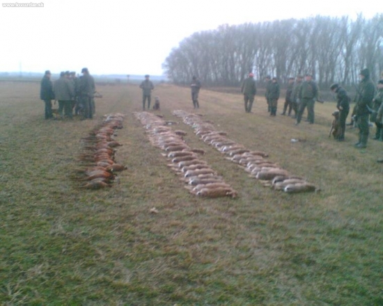 výsledek hospodaření