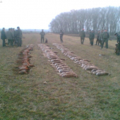 výsledek hospodaření