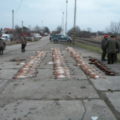 Škoda že na betonu