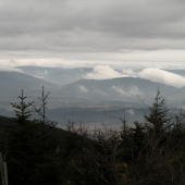 Když se vaří mlha