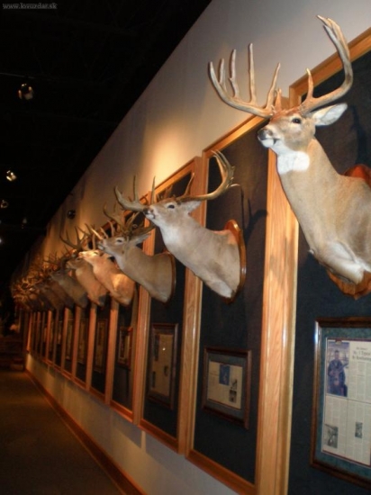 cabelas pensilvania trofeje