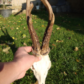 600g.
