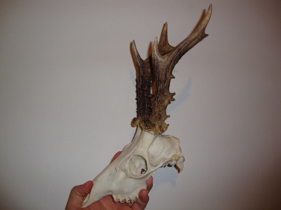470 g.