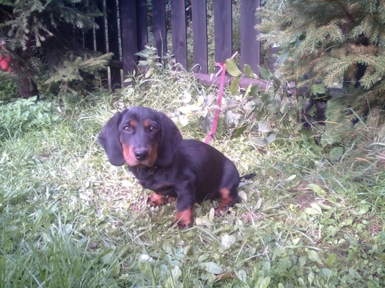 Keď bol ešte malý