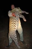 Kamošov Leopard