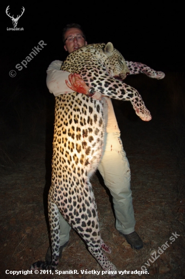Kamošov Leopard