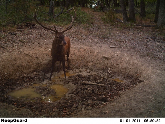 Hádajte vek a bodovú hodnotu
