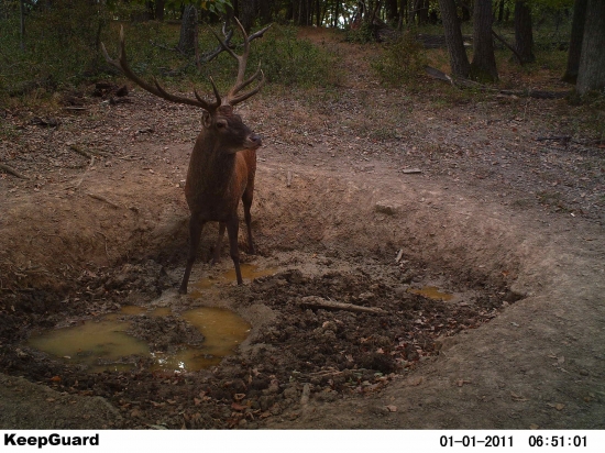 Hádajte vek a bodovú hodnotu(pomôcka)