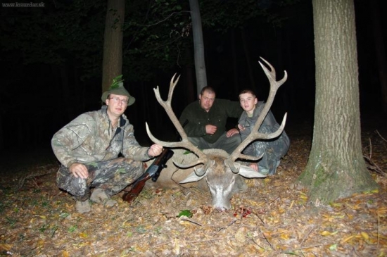 starý jeleň  z Kamenného