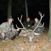 starý jeleň  z Kamenného