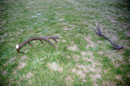 Takto tam na mňa čakali